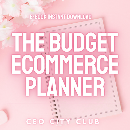 The Budget Ecommerce Planner